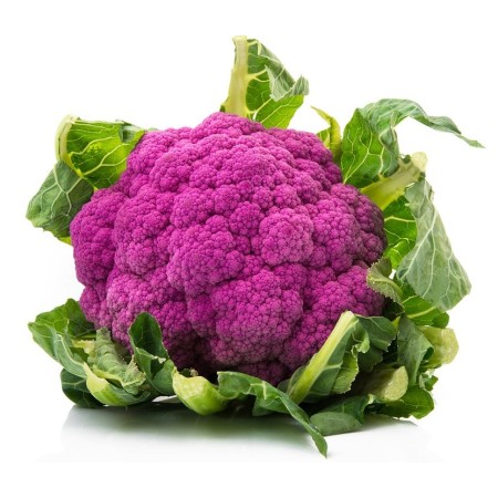 CAVOLFIORE VIOLA SFUSO FRESCO